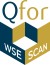 Qfor wse scan perspective.jpg